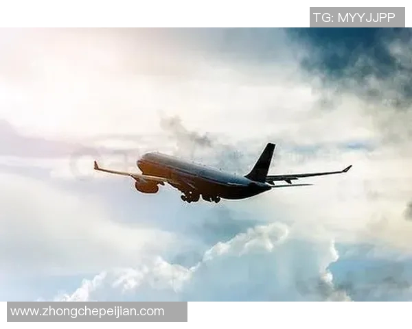 喷气飞机在布里斯班的飞行体验与城市魅力的完美结合