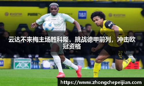 乐趣无穷〉