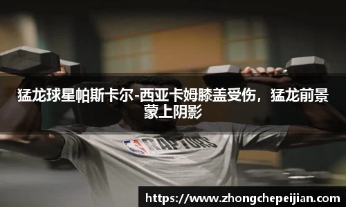 乐趣无穷〉